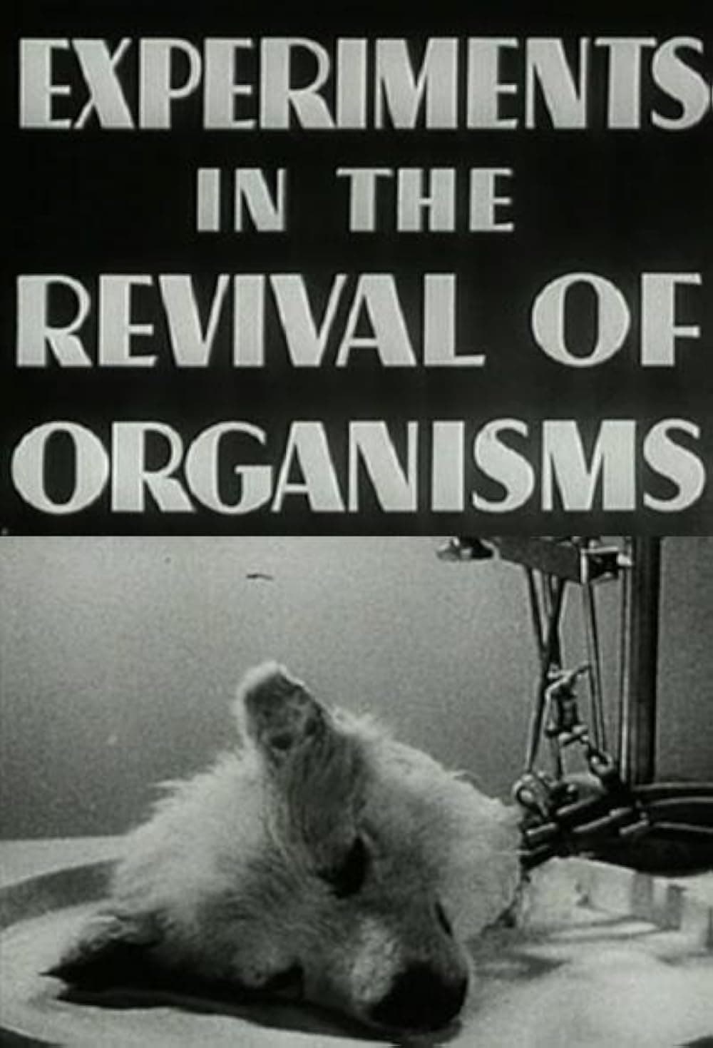 Experiments in the Revival of Organisms